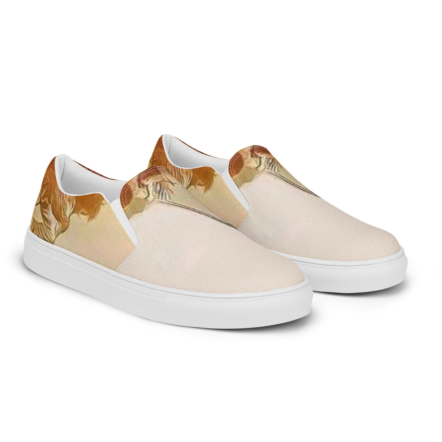 Men’s Wenety slip-on canvas shoes